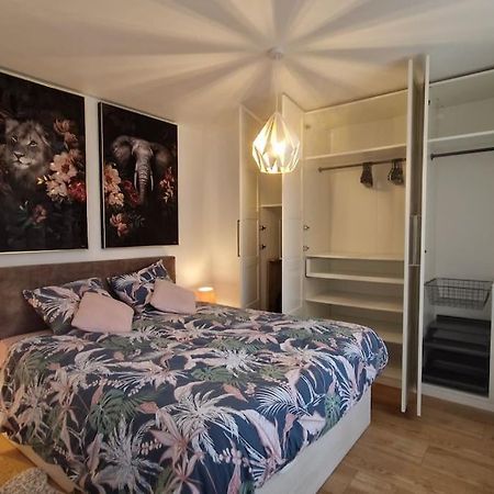 Modern Jungle - Colmar Apartment Bagian luar foto