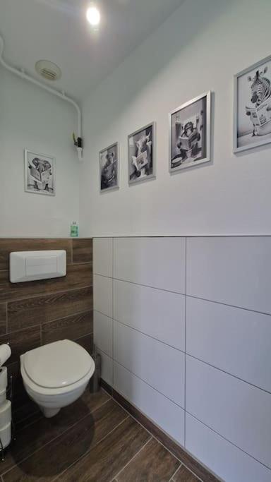 Modern Jungle - Colmar Apartment Bagian luar foto