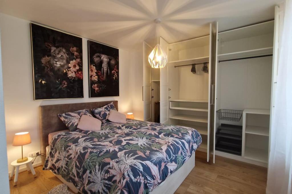 Modern Jungle - Colmar Apartment Bagian luar foto